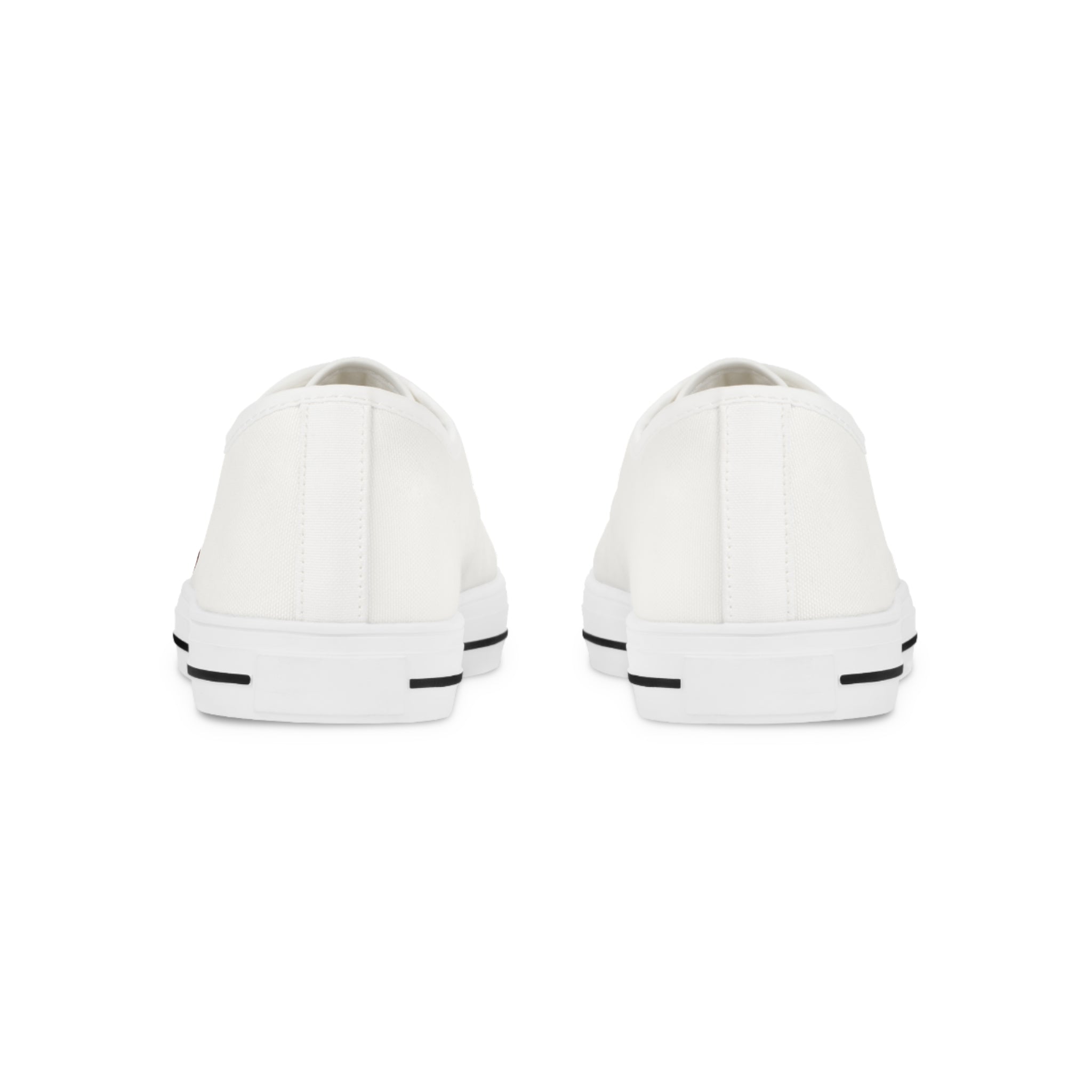 Staudings Low Top Sneakers — Double Planet Graphic Casual Canvas Shoes