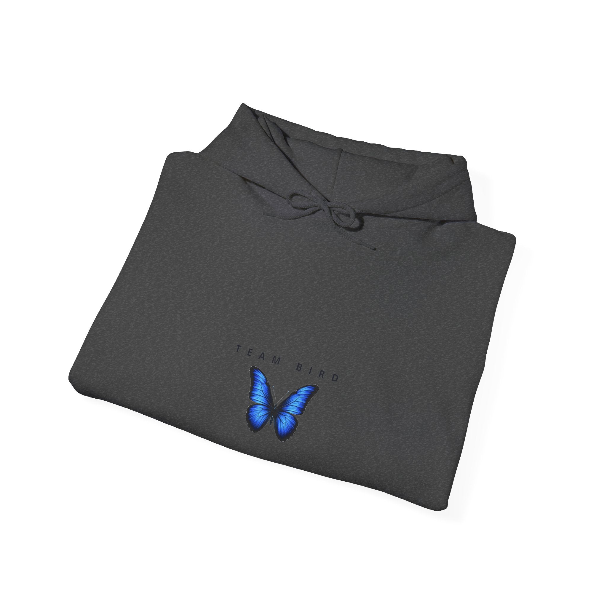 Butterfly Hoodie — "Team Bird" Blue Butterfly Graphic Hooded Sweatshirt