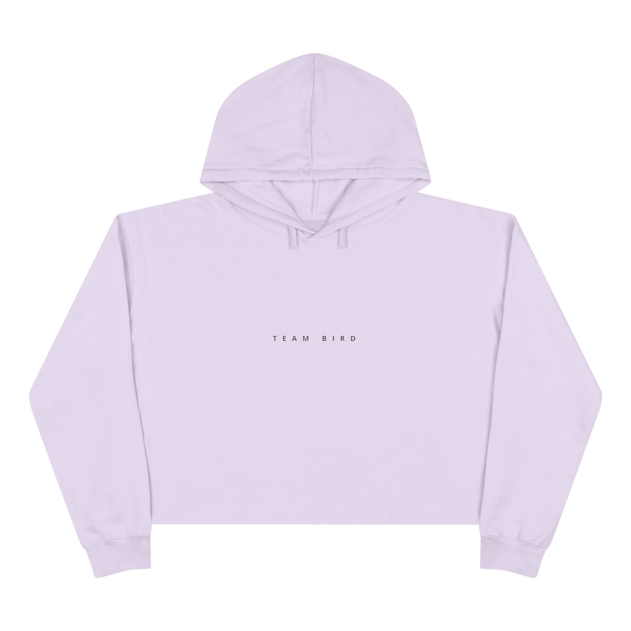 Butterfly Crop Hoodie — Minimal Blue Butterfly Graphic Crop Sweatshirt