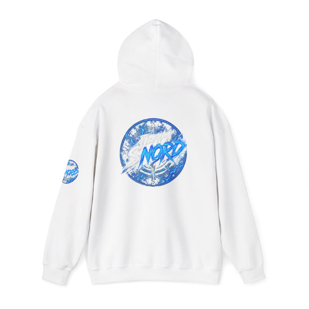 Nord Globe Hoodie — Blue Vintage Graphic Hooded Sweatshirt
