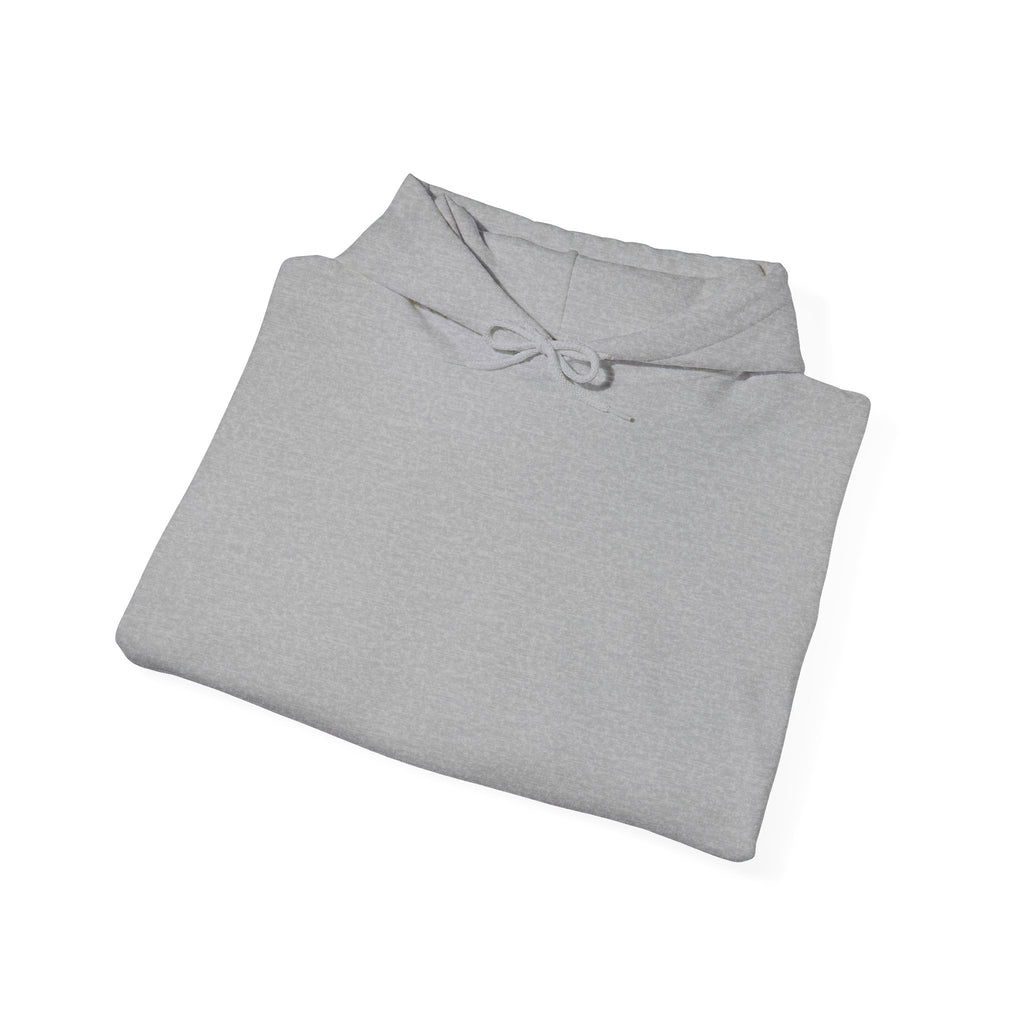 Nord Globe Hoodie — Blue Vintage Graphic Hooded Sweatshirt