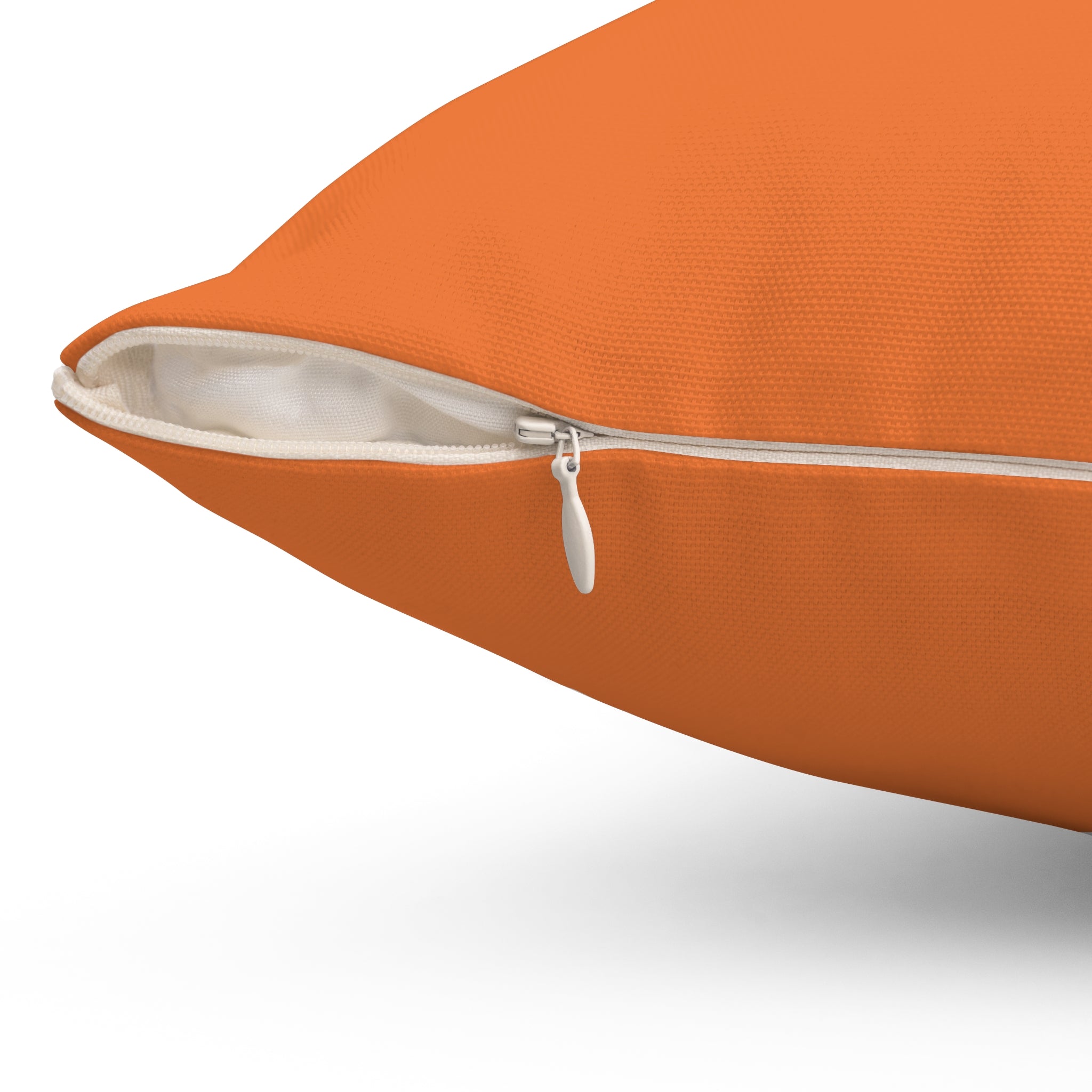 Team Stauding Phoenix Emblem Pillow — Orange Gamer Decorative Throw Pillow