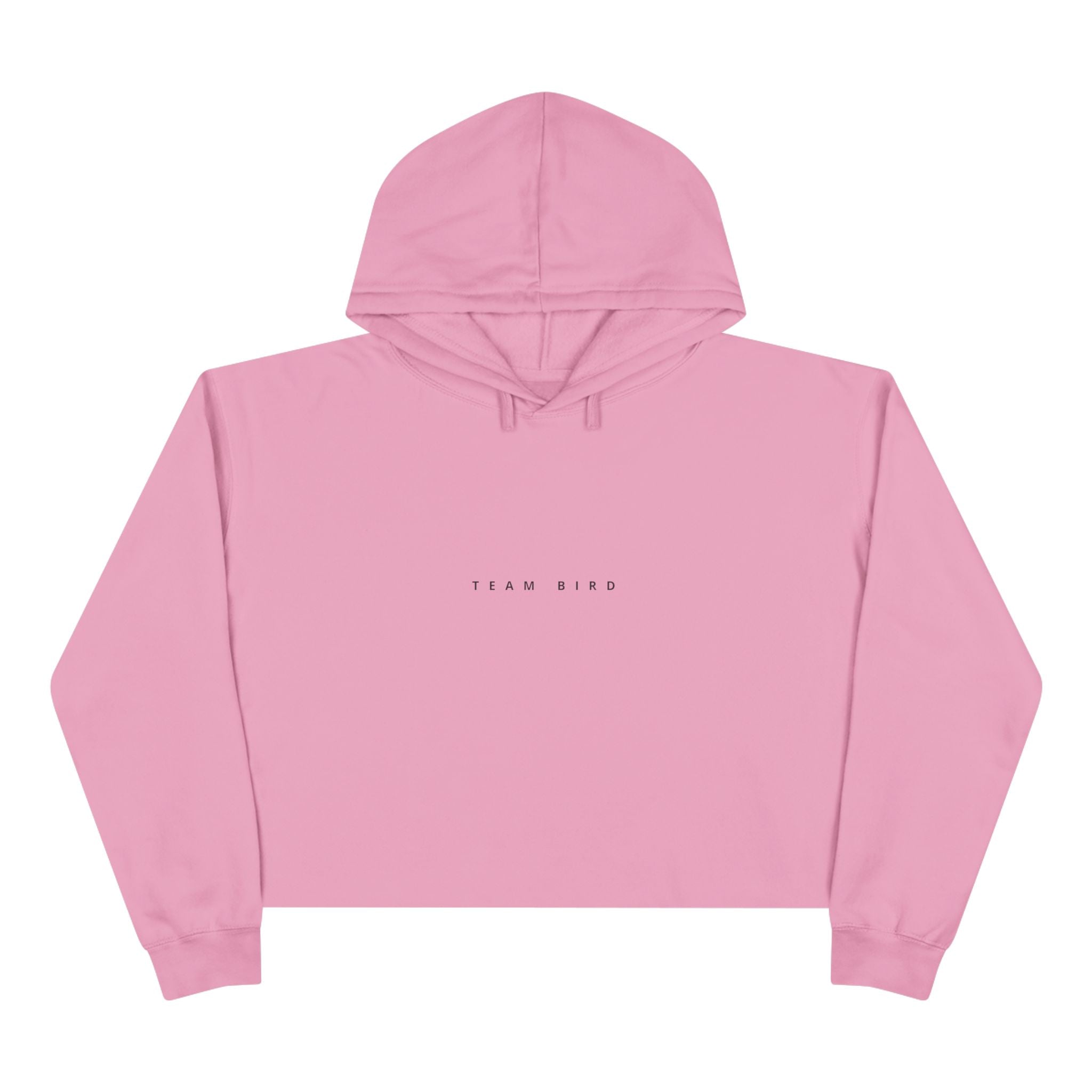 Butterfly Crop Hoodie — Minimal Blue Butterfly Graphic Crop Sweatshirt
